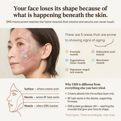 ANLAN Firm, Sculpt & Glow Facial Ritual